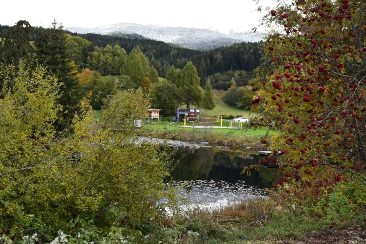 Ferienwohnung Familie Pichler Neumarkt in Steiermark المظهر الخارجي الصورة