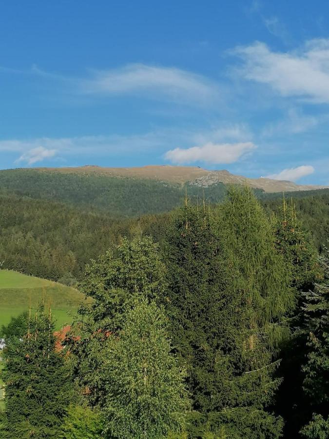 Ferienwohnung Familie Pichler Neumarkt in Steiermark المظهر الخارجي الصورة