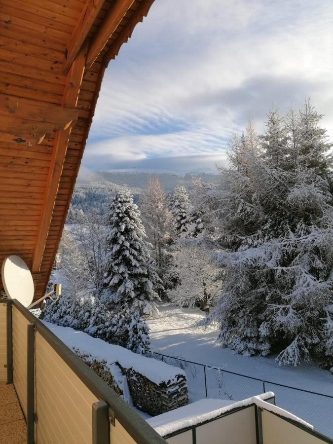 Ferienwohnung Familie Pichler Neumarkt in Steiermark المظهر الخارجي الصورة