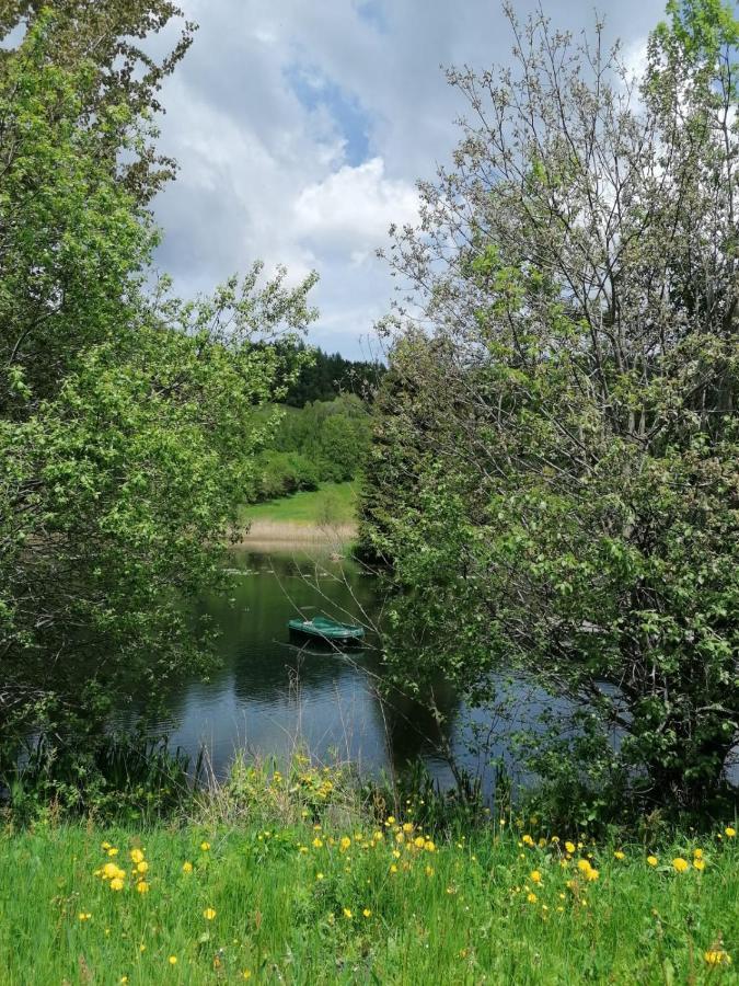 Ferienwohnung Familie Pichler Neumarkt in Steiermark المظهر الخارجي الصورة