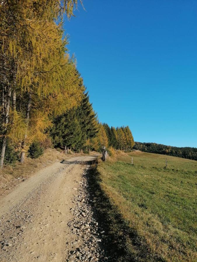 Ferienwohnung Familie Pichler Neumarkt in Steiermark المظهر الخارجي الصورة